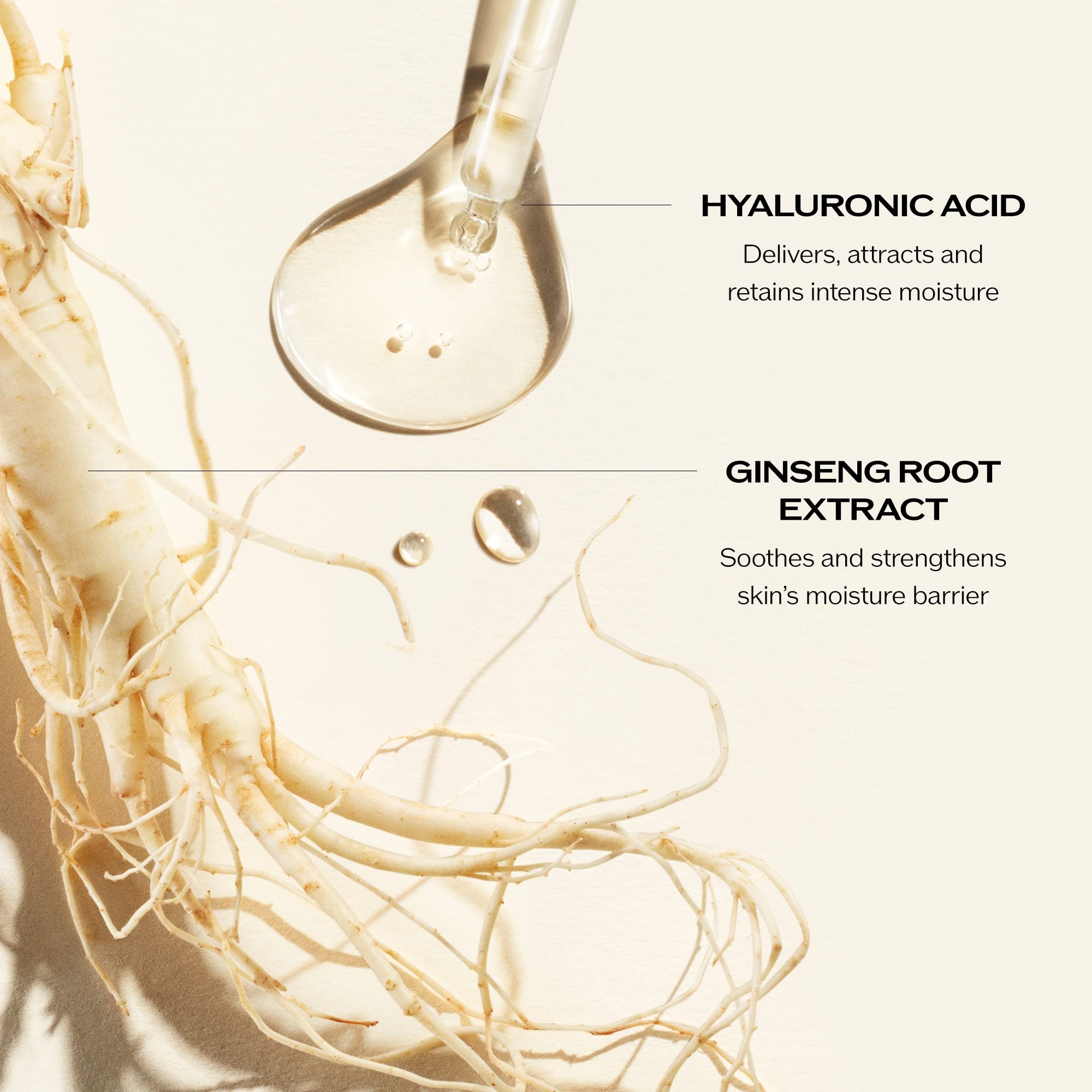 Shiseido Essential Energy Crème, extrait ginseng, énergie et confort de la peau.