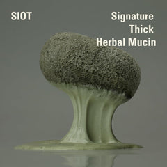Texture du savon SIOT Mucin Herbal prête pour l’application visage.