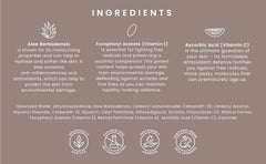 SJOLIE Spray Tan No.9 - application rapide: développement homogène sans effort.