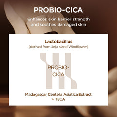 Application mains de tonique-essence SKIN1004 Probio-CICA pour calmer la peau.