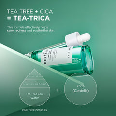 Extrait de Tea Tree utilisé dans l Ampoule Tea-Trica pour une sensation de fraîcheur.