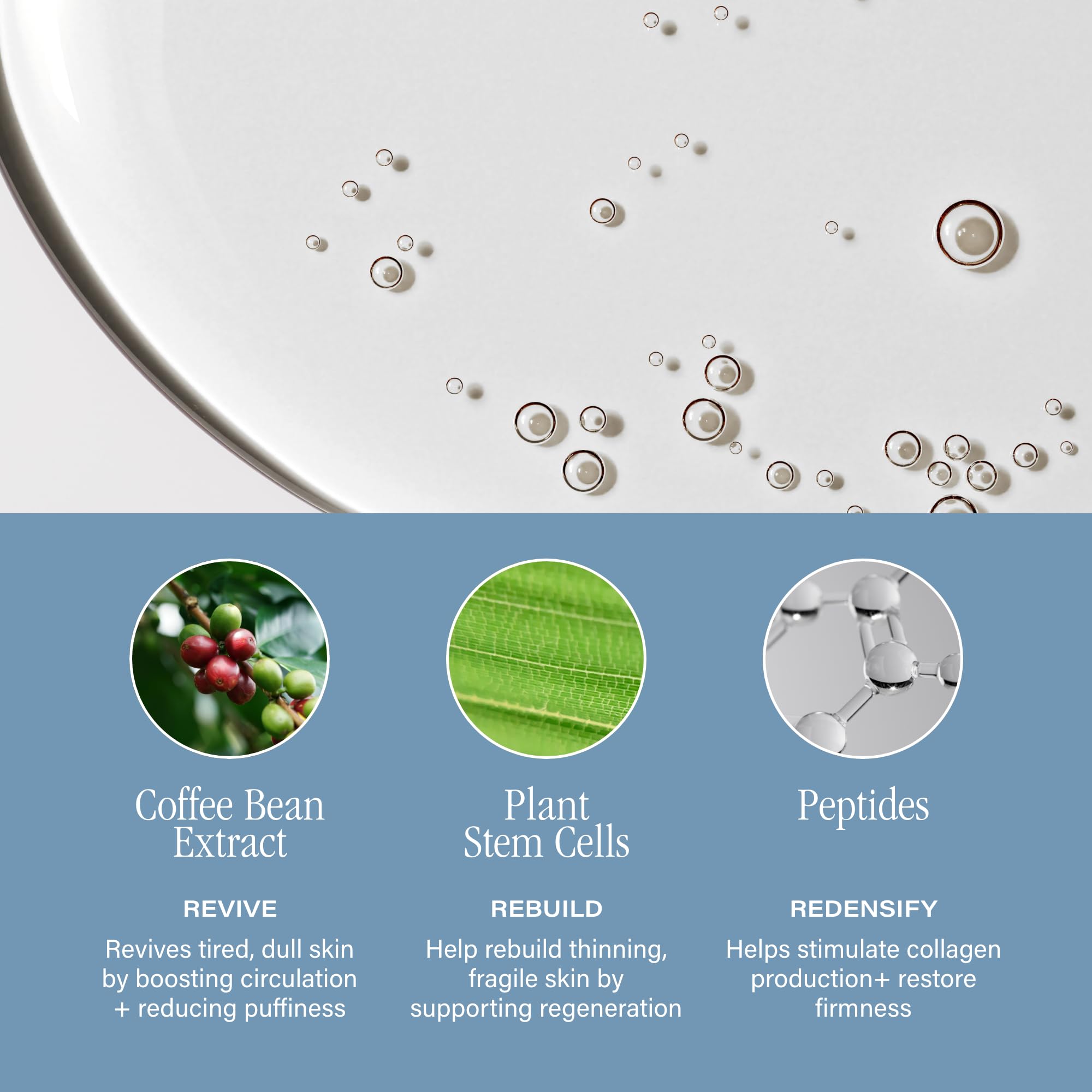 Peptides inclus dans SKINN Neck Amour renforcent densité et tonicité.
