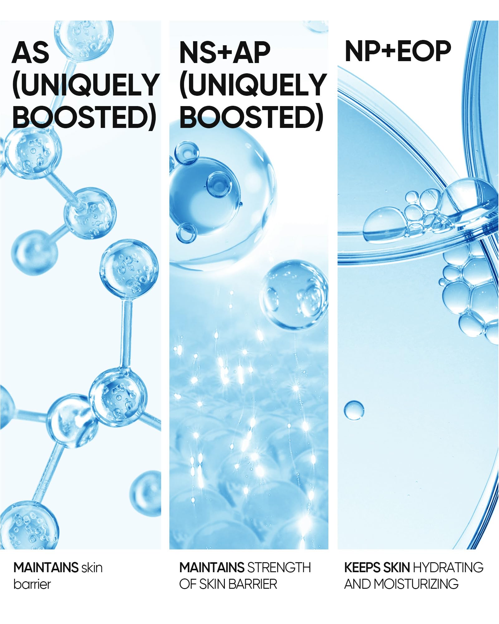 Céramides multiples dans SKINTIFIC 5X renforçant la barrière.
