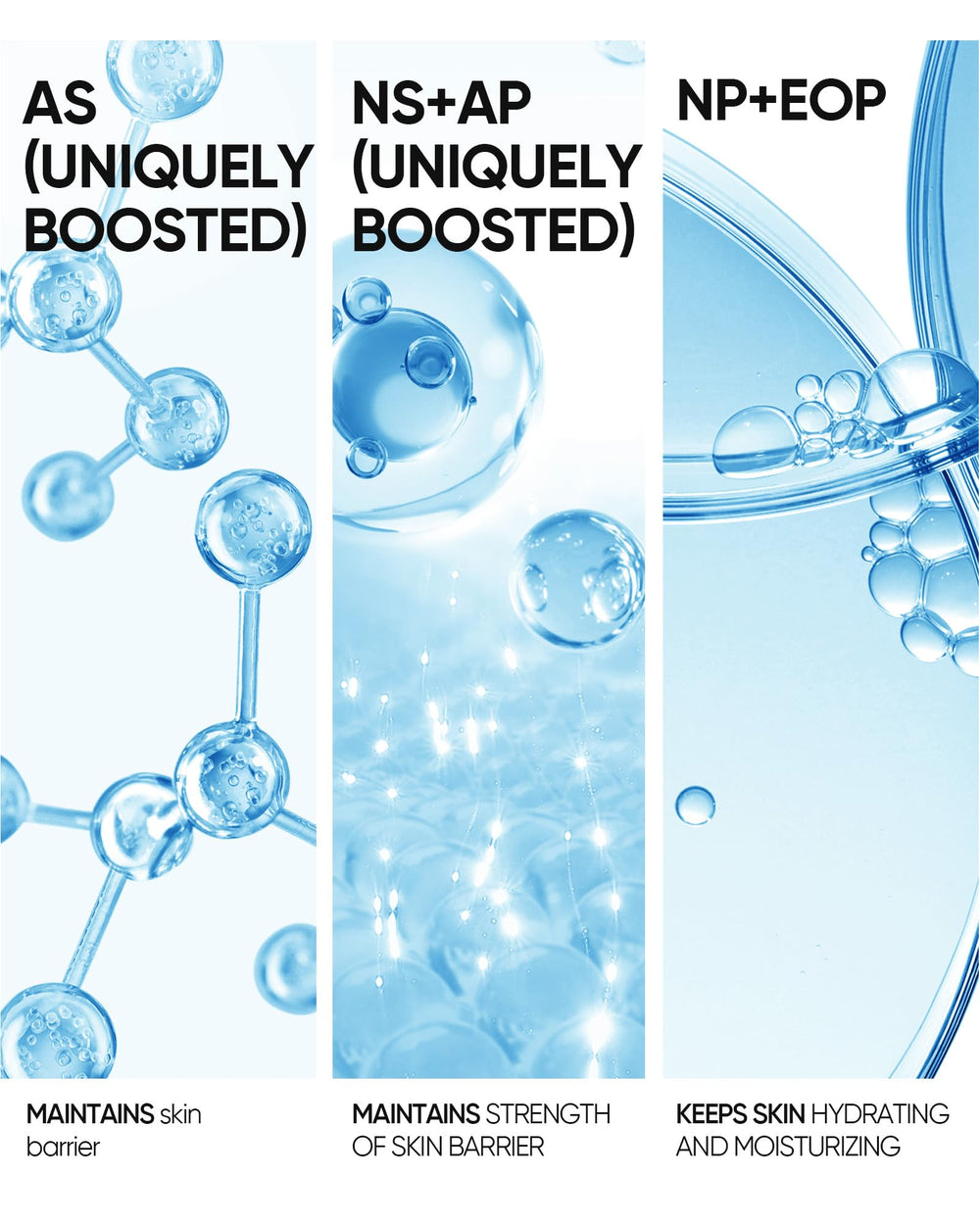 Céramides multiples dans SKINTIFIC 5X renforçant la barrière.