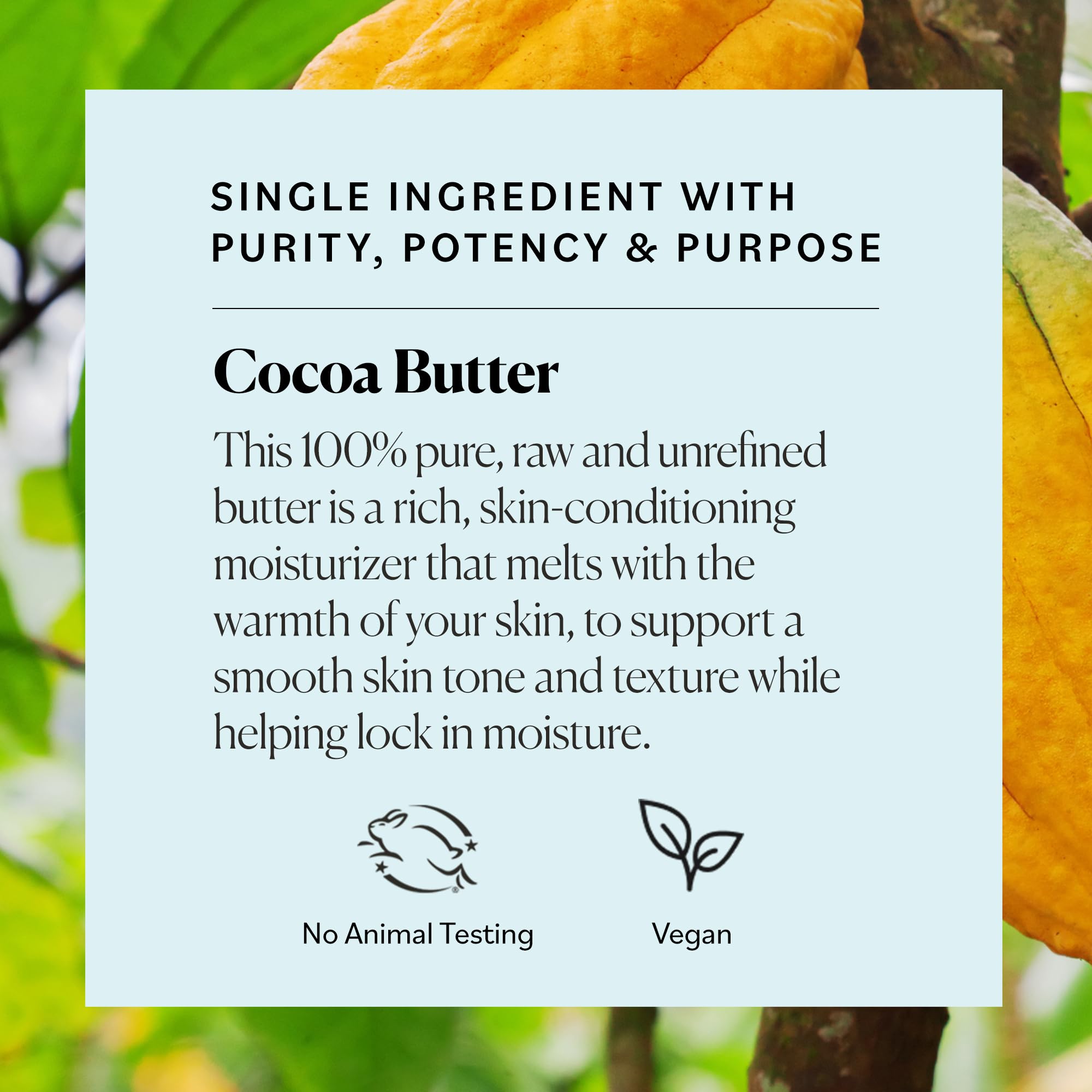 Beurre cacao Sky Organics: idéal pour projets de bricolage soins maison.