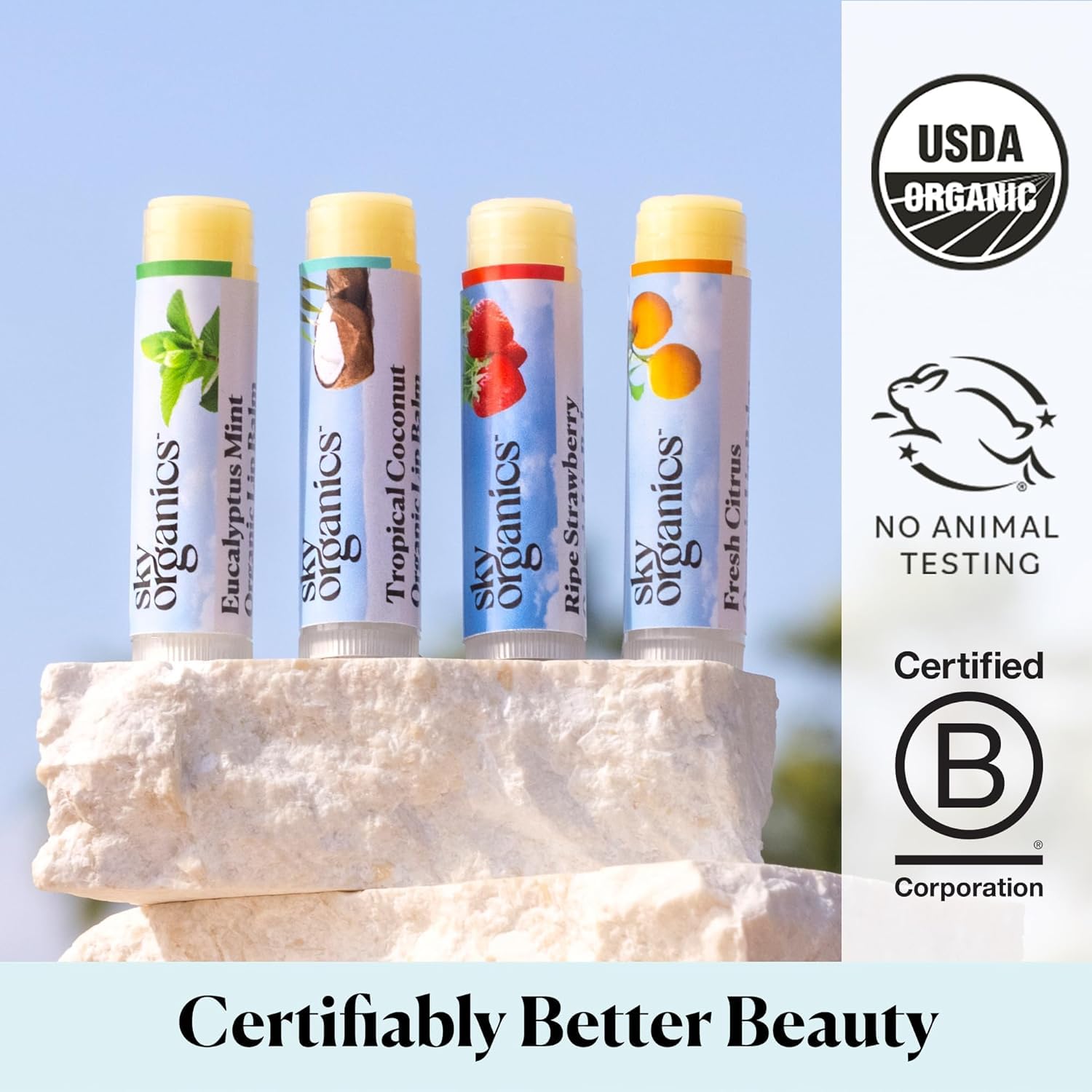 Sky Organics coffret 4-pack lèvres : cadeau élégant pour la routine hydratante.