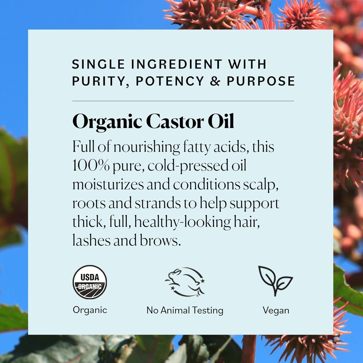 Emballage écoresponsable Sky Organics, produit naturel sans hexane.