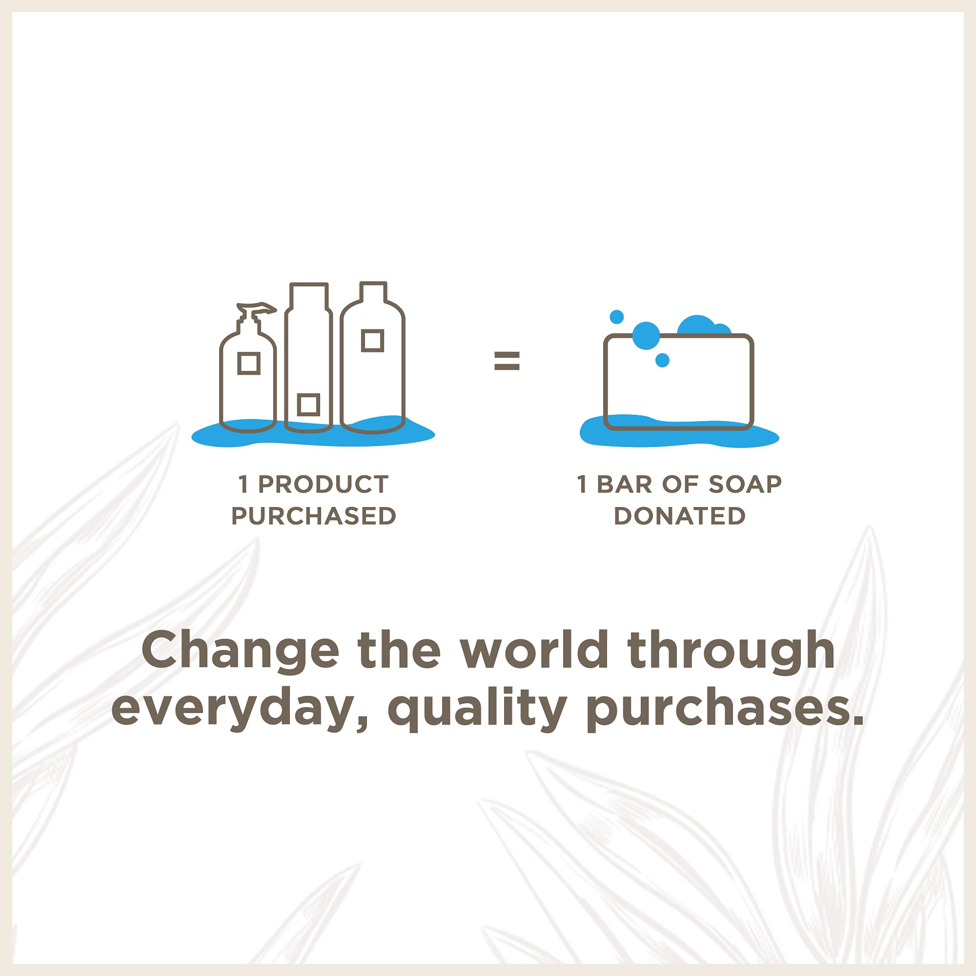 Soapbox Shampoing argan, douceur cheveux, réduit les frisottis.