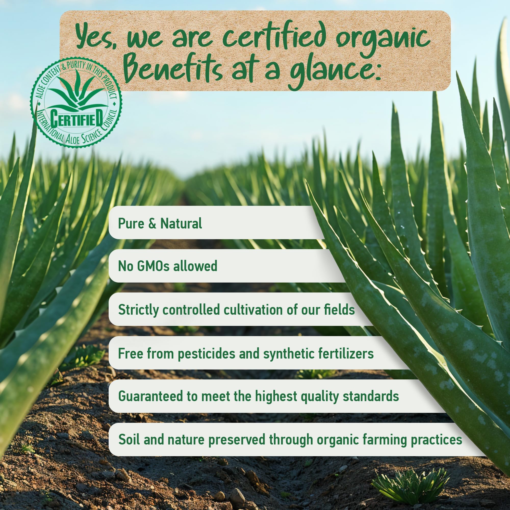 Soena Aloe Vera Gel après rasage, soin doux et apaisant
