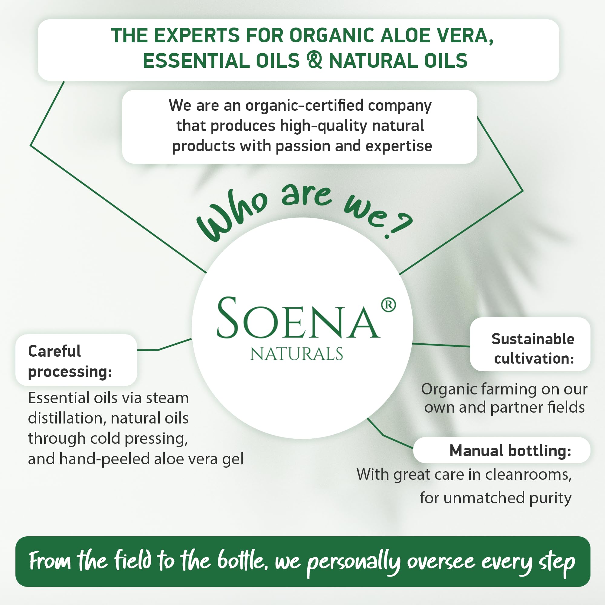 Soena Aloe Vera Gel pour brûlures mineures, soin doux et rapide