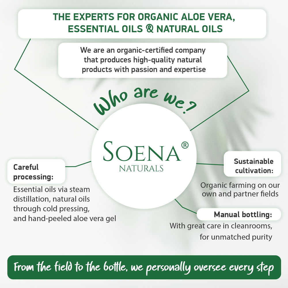 Soena Aloe Vera Gel pour brûlures mineures, soin doux et rapide