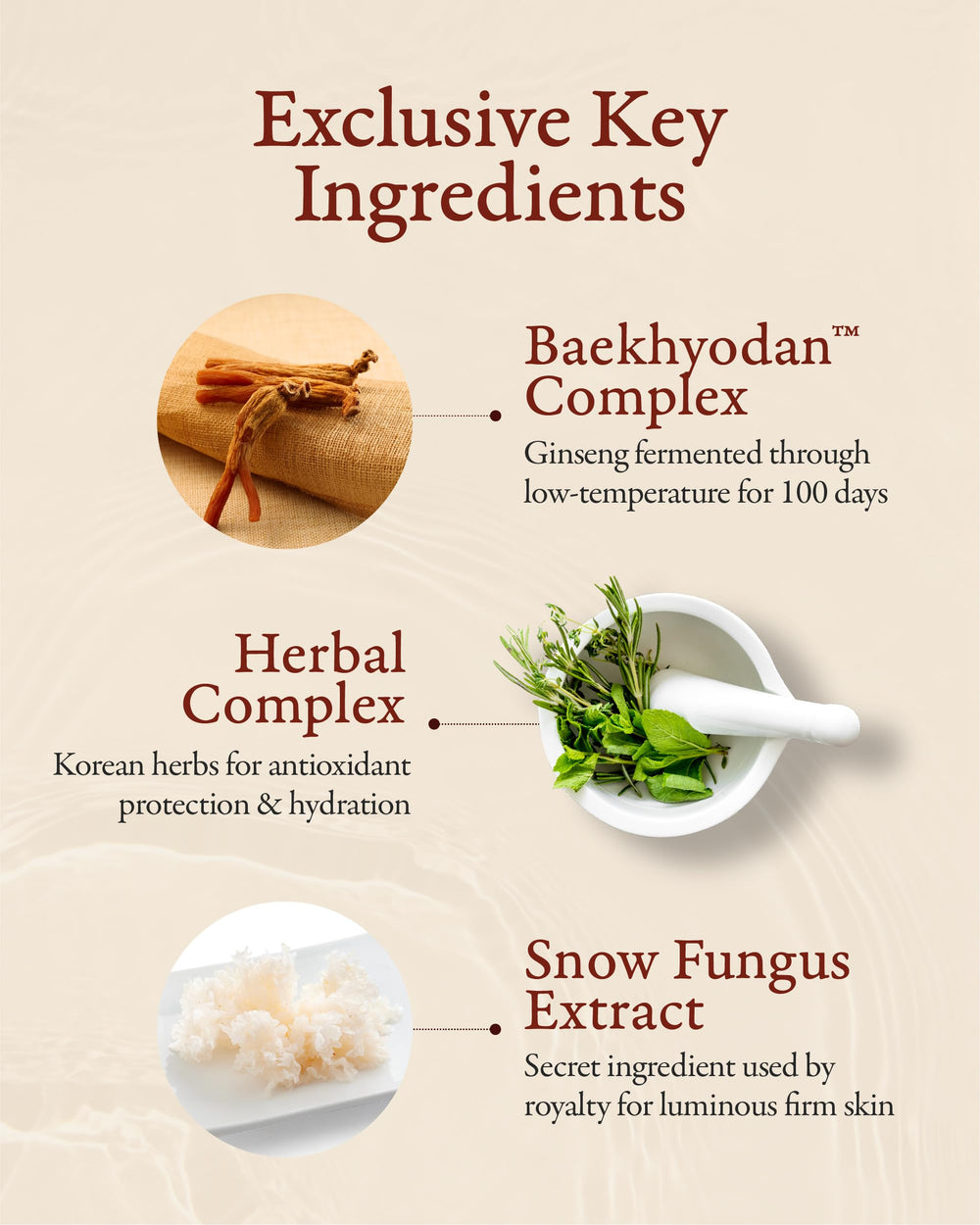 Emulsion Sooryehan Hyobidam en flacon, nourrissante et légère.