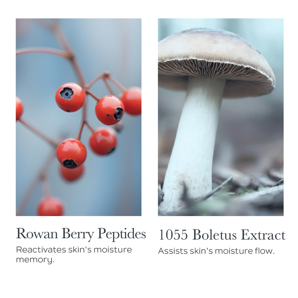 SOTHYS présente le9xtrait boletus pour soutenir le9hydratation et la fraeecheur de la peau