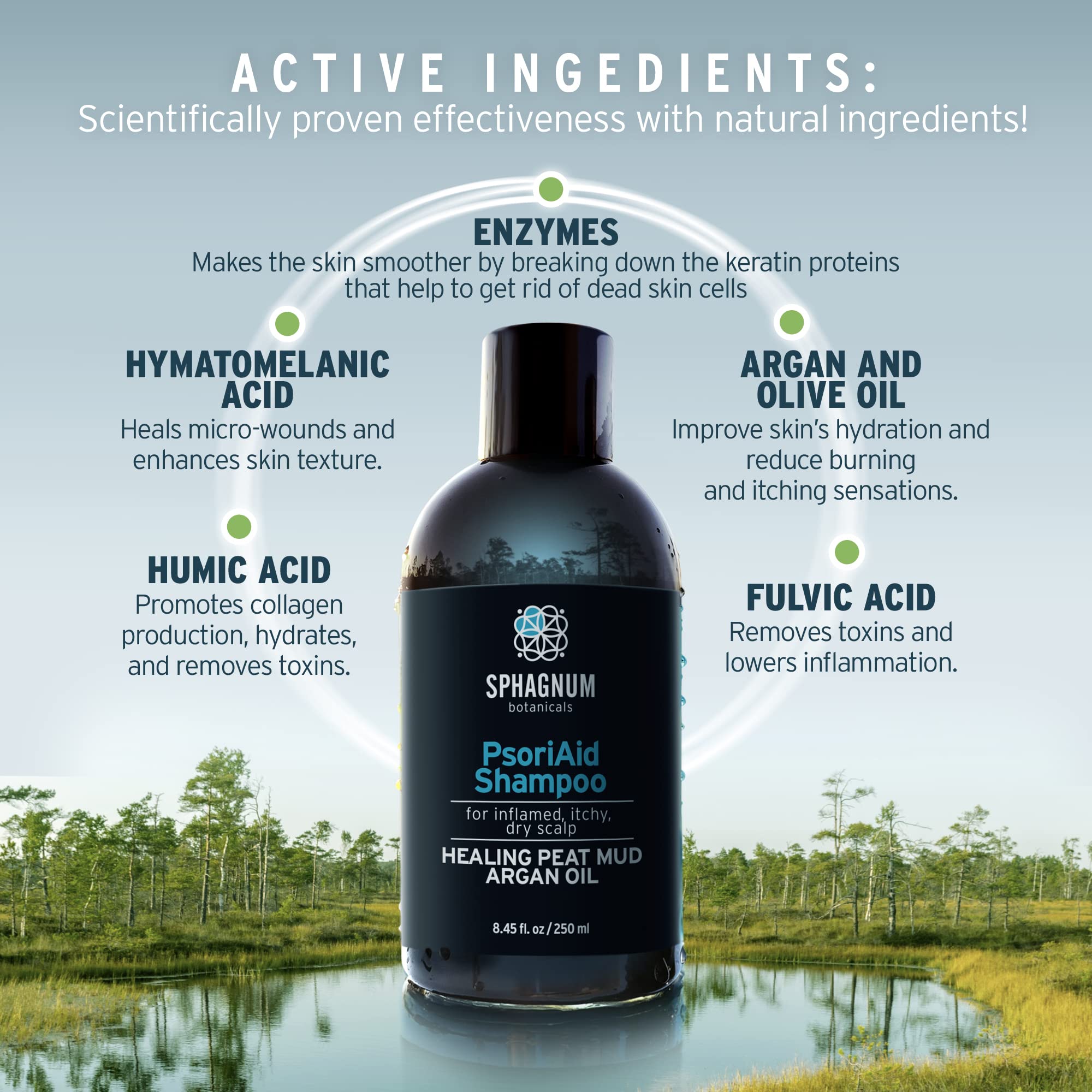 Sphagnum Botanicals Shampooing, huile d arbre à thé purifiante pour le cuir chevelu.