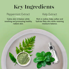 Éponge infusée SPONGELLÉ au savon pour nourrir la peau.