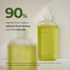 STEAMBASE Tea Tree Scalp Water Scaler, massage du cuir chevelu pour une sensation rafraîchissante et purifiante.