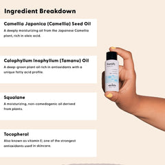 Stratia Fortify huile visage, application après nettoyage, routine efficace.