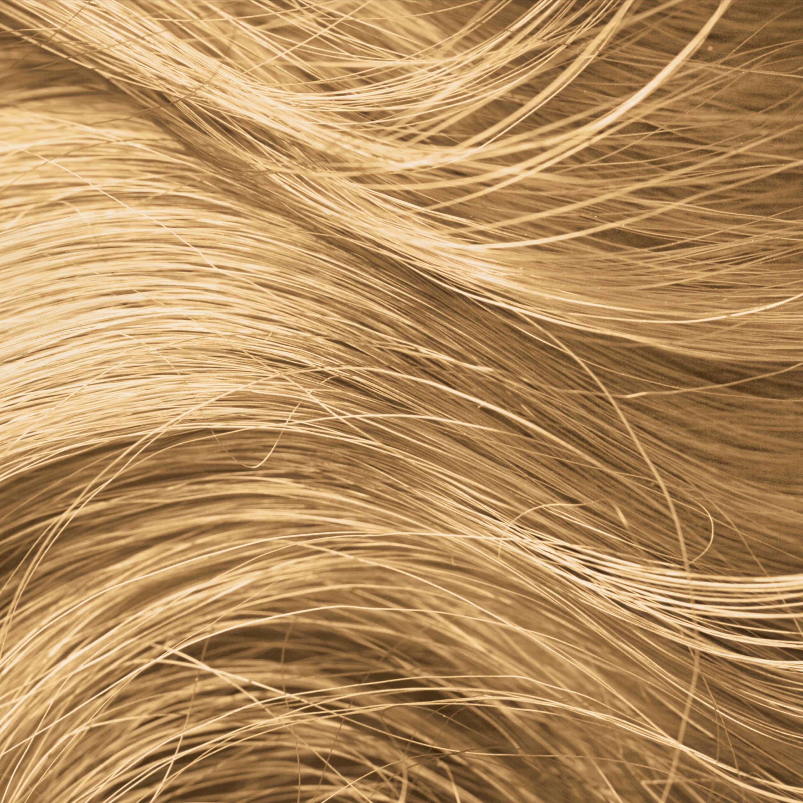 Sans paraben, sans silicone et sans sulfates
