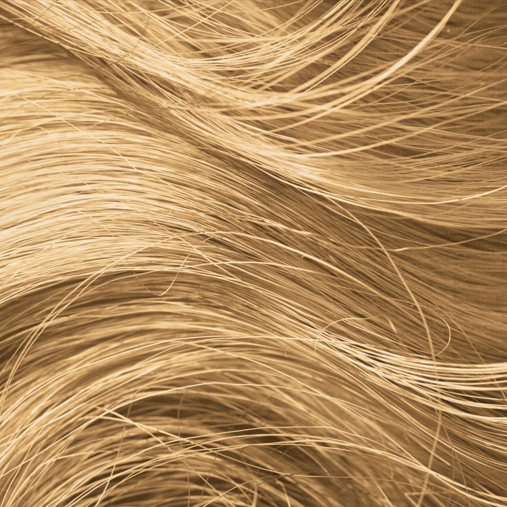 Sans paraben, sans silicone et sans sulfates