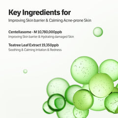 Extrait Tea Tree du masque SUNGBOON EDITOR ciblant imperfections et équilibre cutané