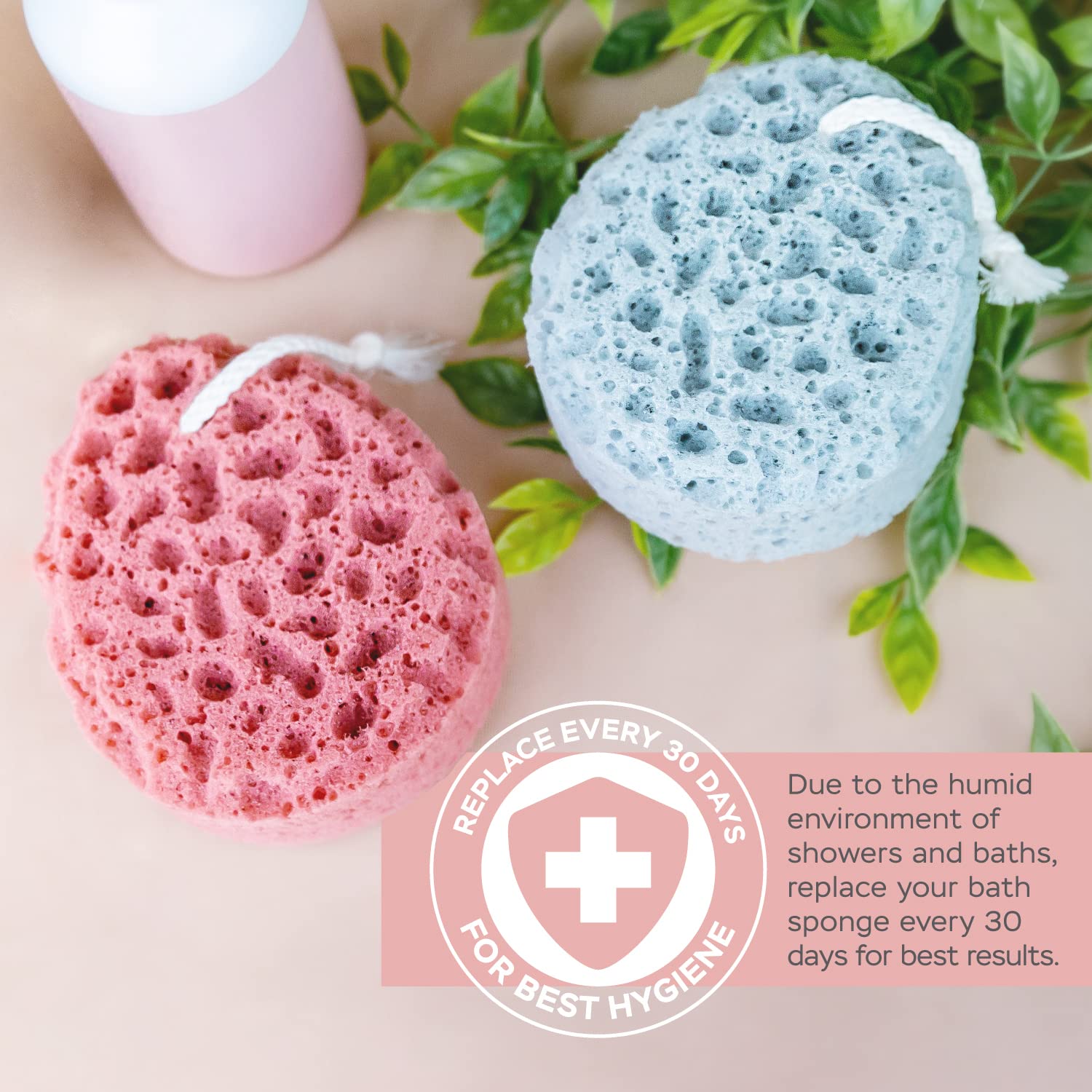 Sunlite Spongentle coloris naturels idéaux pour bain et douche.