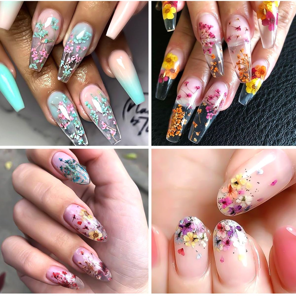 Variété de fleurs sèches pour designs d'ongles personnalisés.
