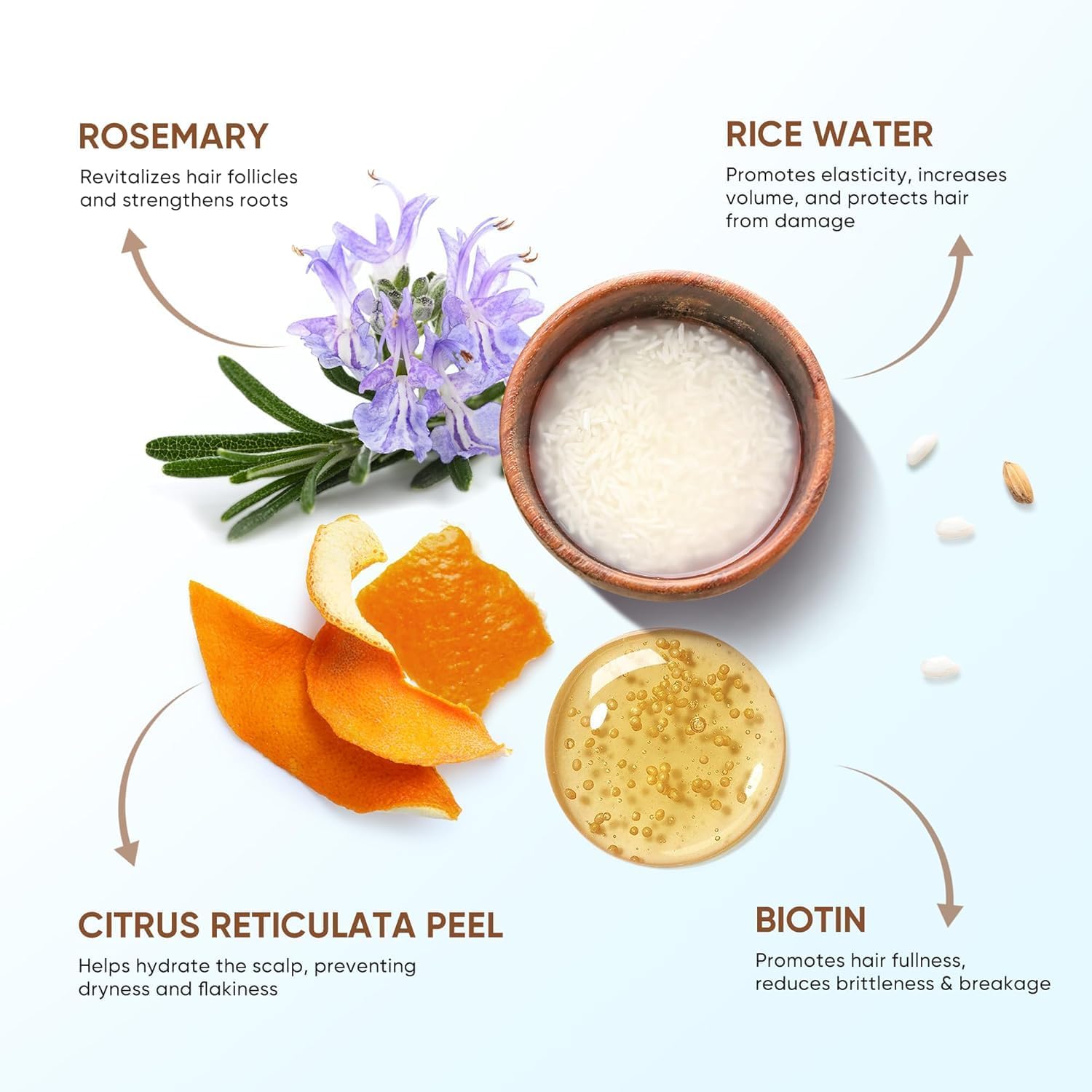 Ingredient panel highlights rice water, biotin, and ginger for nourished strands.