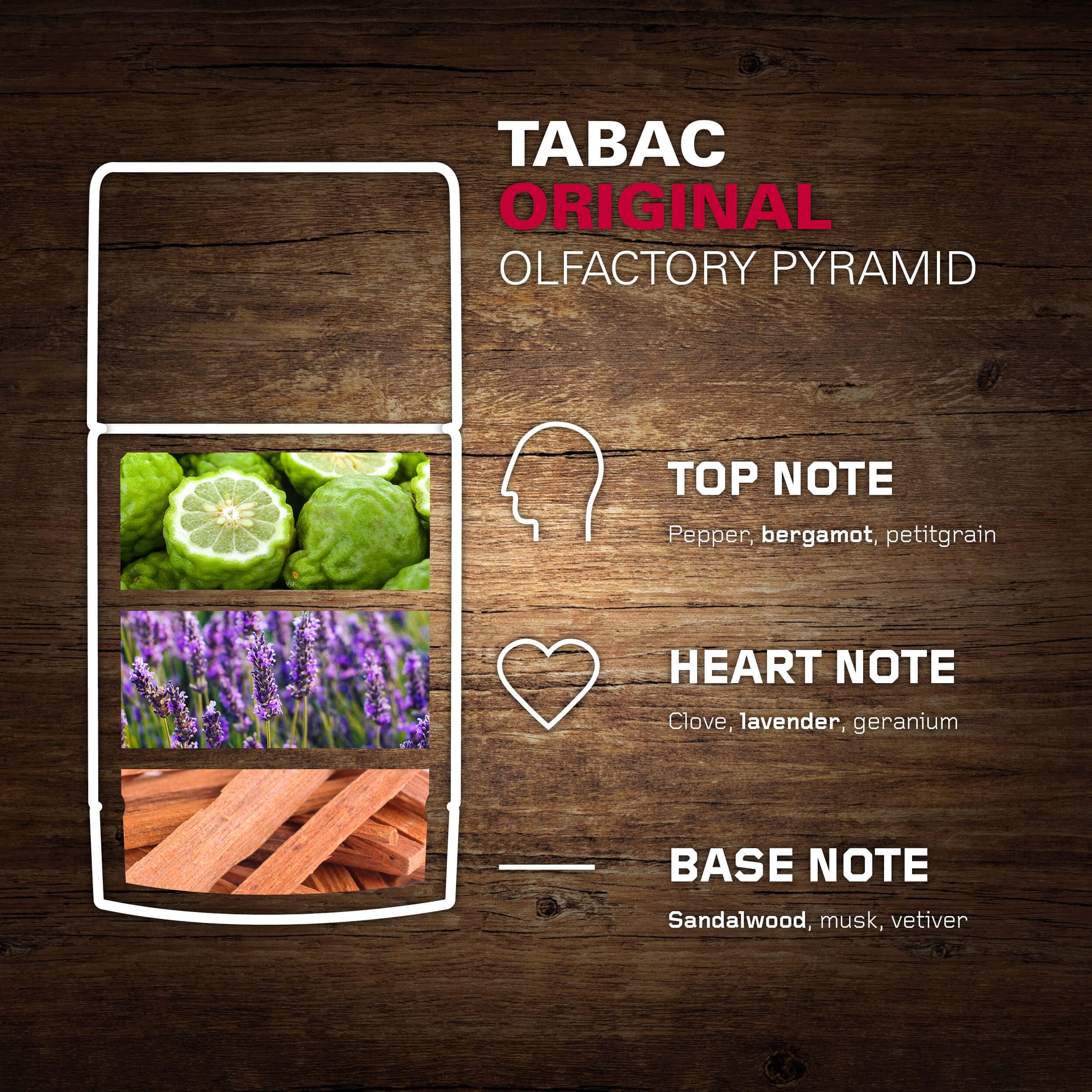 Tabac Original bâton parfum notes de fond boisées pour une présence durable.