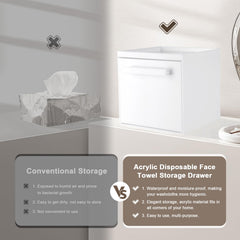 TAINESS Boîte-rangement murale acrylique: vue claire et accessibilité