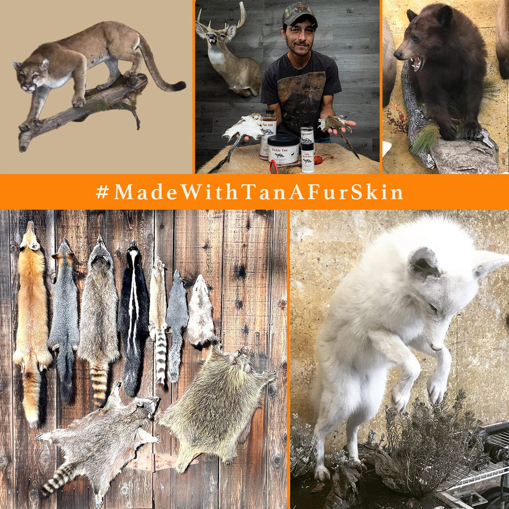 Tan-a-Fur Kit: finition professionnelle pour fourrure souple et éclatante