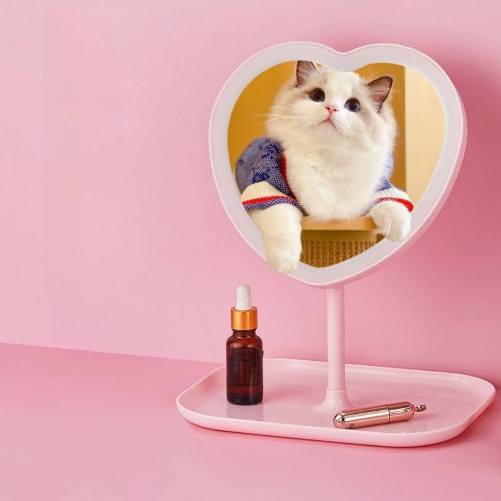 Taolivingmart Miroir cœur LED, trois niveaux d’éclairage adaptés à votre routine.