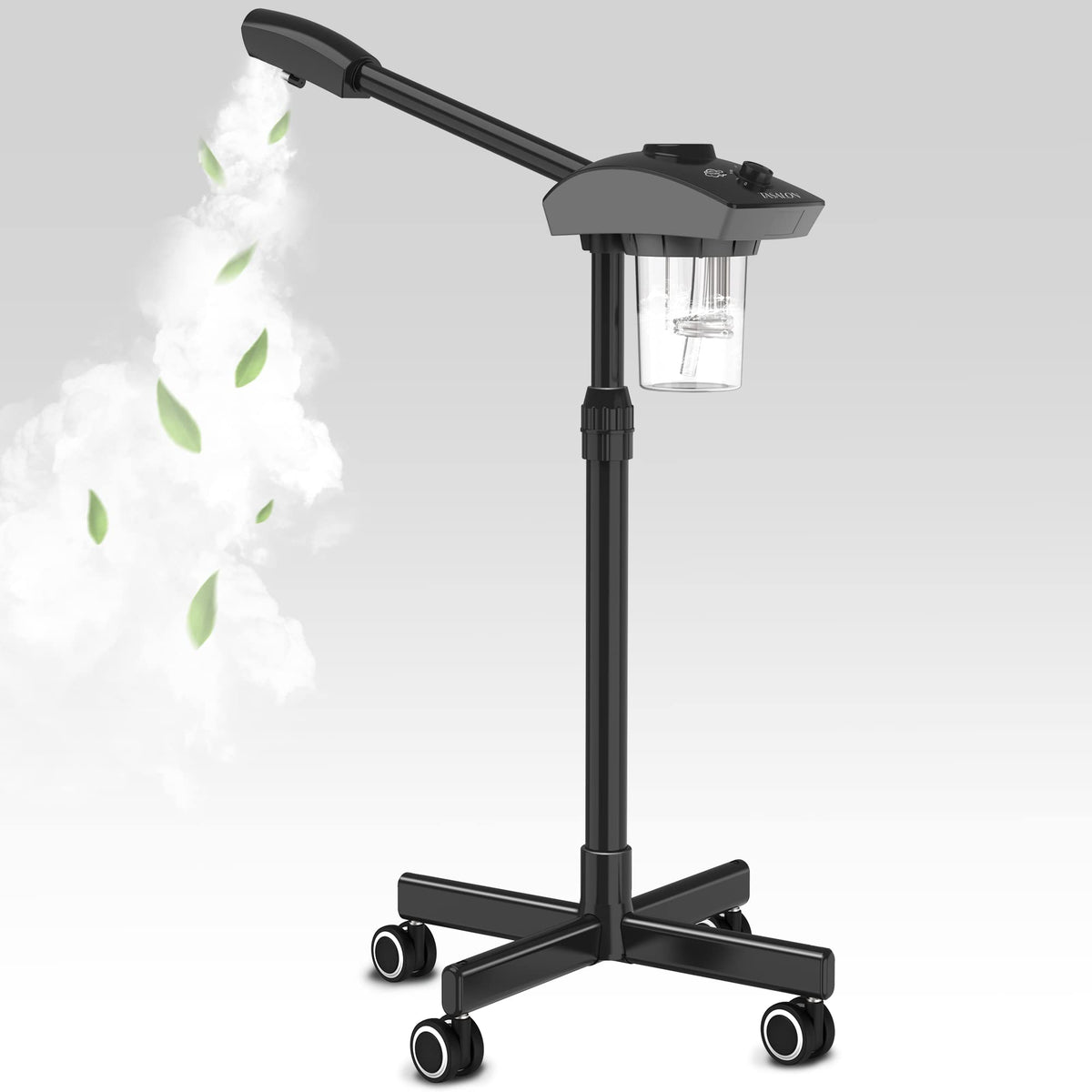 Tasalon vapeurs faciales ioniques principal pour ouvrir les pores et hydrater la peau