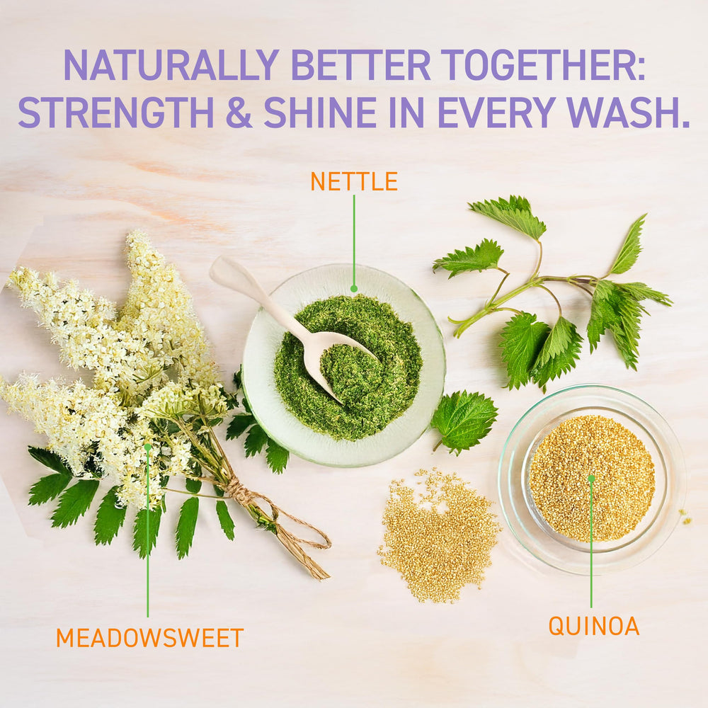 Ingrédients nourrissants comme quinoa et jojoba pour cheveux en bonne santé.
