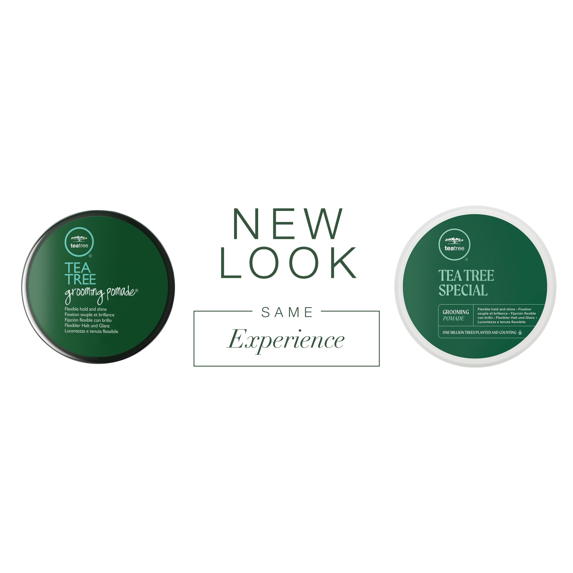 Tea Tree Grooming Pomade application facile pour définir boucles et texture.