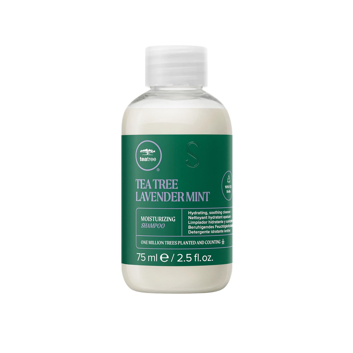 Shampoing Tea Tree Lavande Menthe en bouteille, hydratation quotidienne pour cheveux secs.