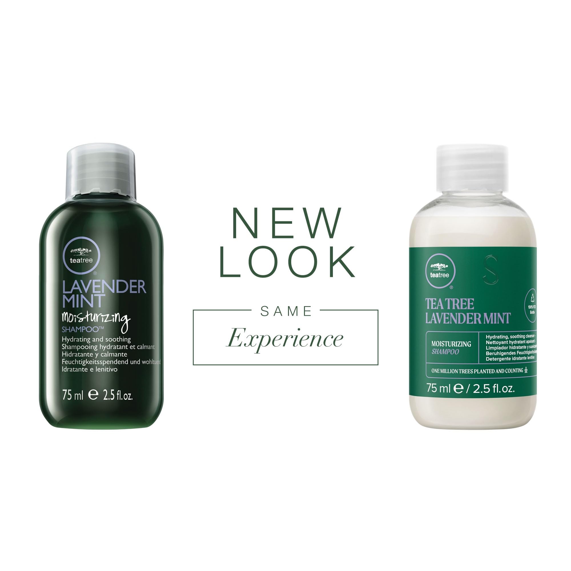 Pompe du shampoing Tea Tree Lavande Menthe pour une application pratique et précise.