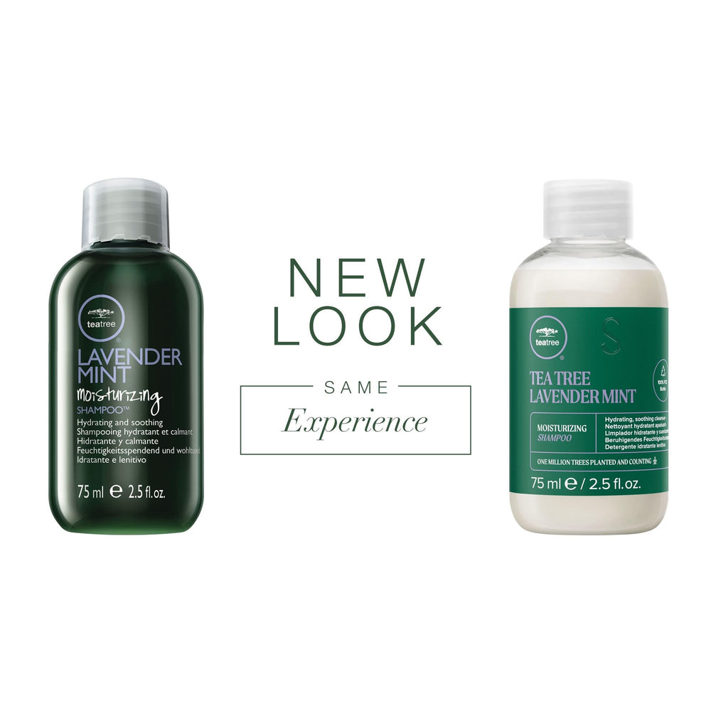 Pompe du shampoing Tea Tree Lavande Menthe pour une application pratique et précise.