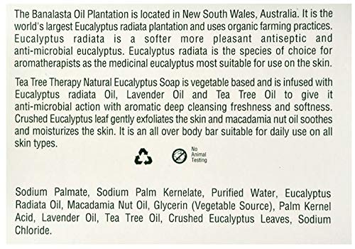 Deux barres Tea Tree Therapy, texture douce et hydratante pour le lavage quotidien