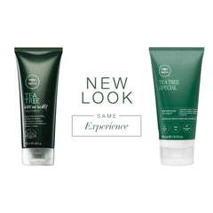 Application du masque Tea Tree sur cheveux et cuir chevelu, hydratation ciblée.
