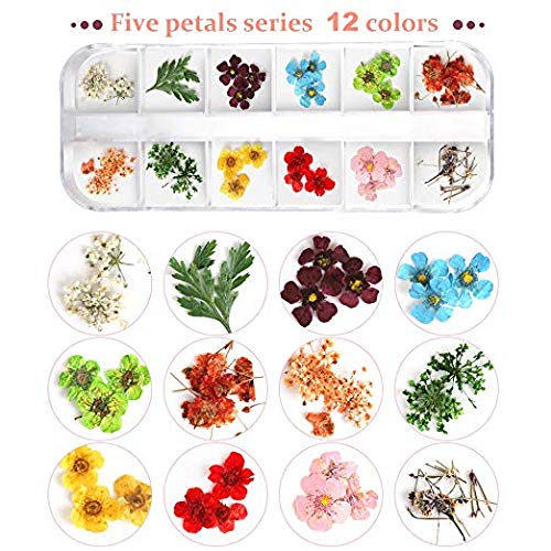 Teenitor 24 coloris variés pour inspirations en art des ongles