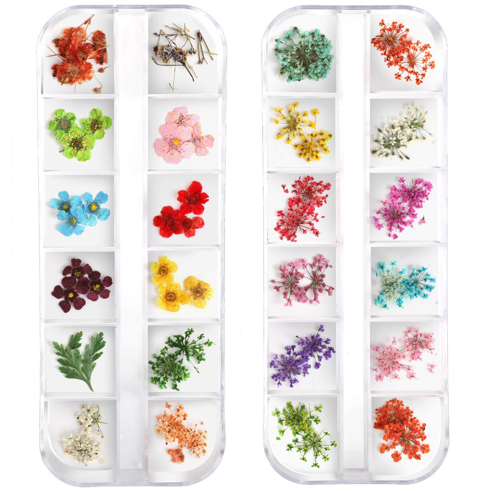Teenitor fleurs seches sur boîte à compartiments, rangement pratique