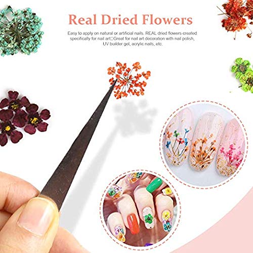 Teenitor fleurs seches utilisations multiples en art des ongles et résine
