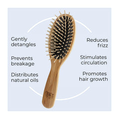 Brosse TEK oval adaptée aux cheveux lisses et bouclés, usage quotidien.