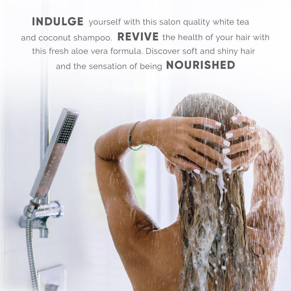 Terra Pure Infuse Shampoo, rangement armoire salle de bains, économie d'espace