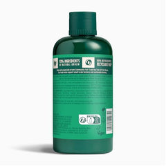 Flacon The Body Shop en plastique recyclé, geste durable pour l’arbre à thé.