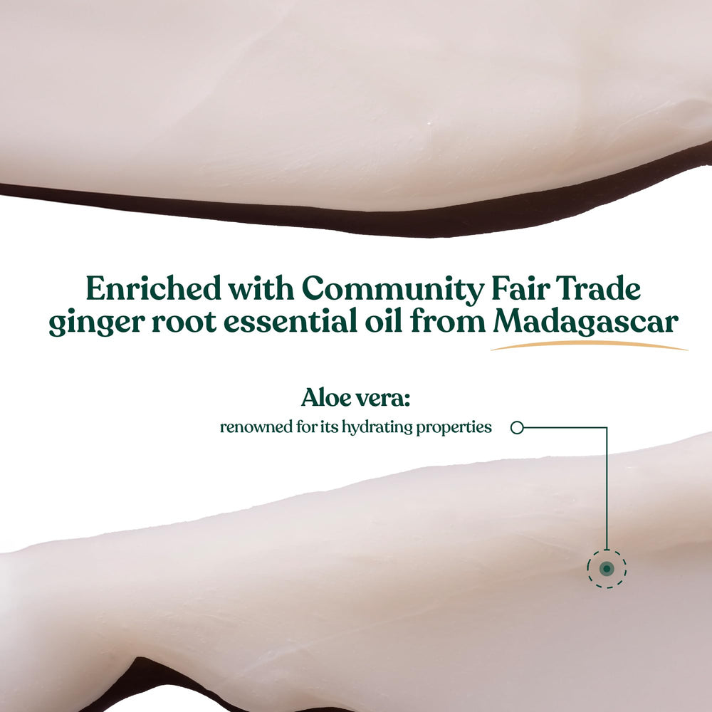 The Body Shop Ginger Scalp Care Conditioner – Ingrédients clés et extraits, sensorialité fraîche.