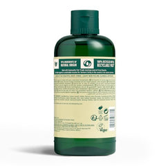 The Body Shop Moringa Gel Douche, mousse généreuse pour une douceur spa.
