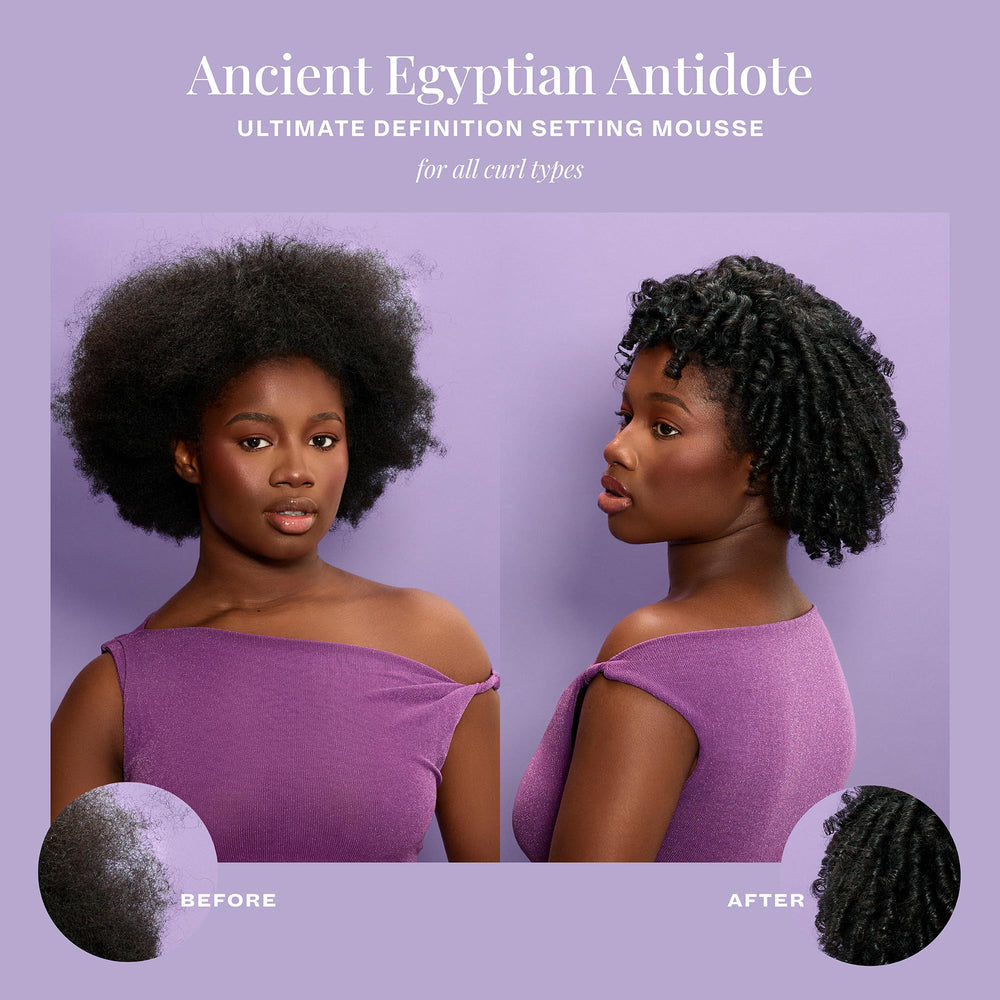 The Mane Choice Antidote Égyptien Mousse verrouille l'hydratation des cheveux