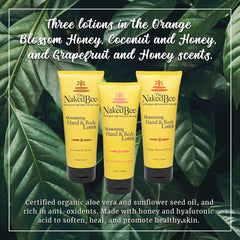 Texture crémeuse de la lotion The Naked Bee pour mains et corps
