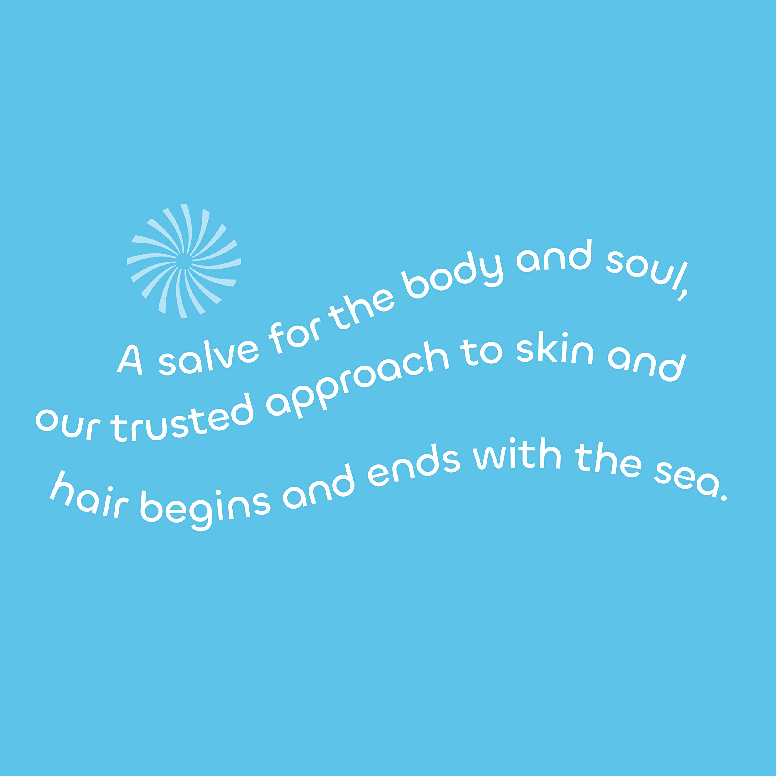 Seaweed Bath Co. conditionneur compatible couleur pour cheveux teints sans risque.